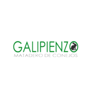 Proyecto nuevo - 2026-06-02T180151.074